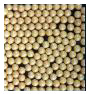 Magnesium Zirconia Oxide Satellites Grinding Media